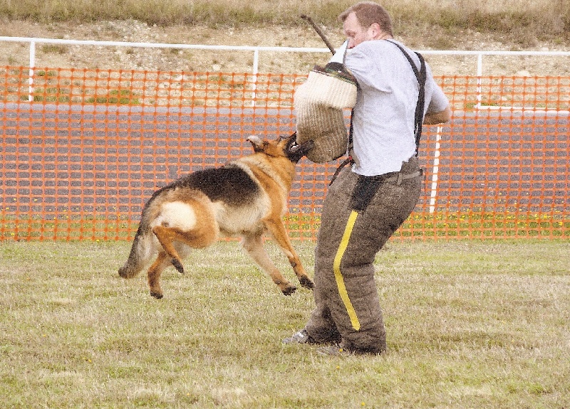 Angoon de l'Orée de Bretagne